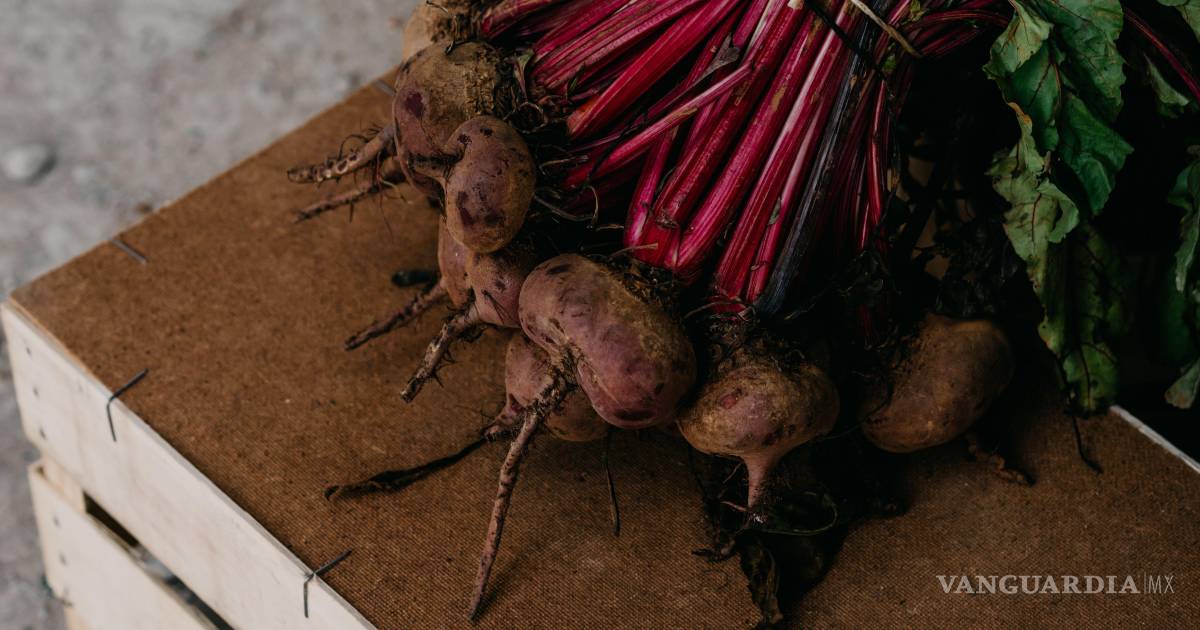 Remolacha: Descubre sus beneficios para la salud y nutrición