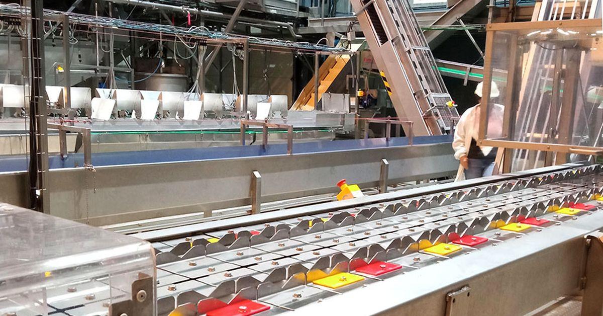 Todo sobre ayudas, normativas y tecnología LED en 2023