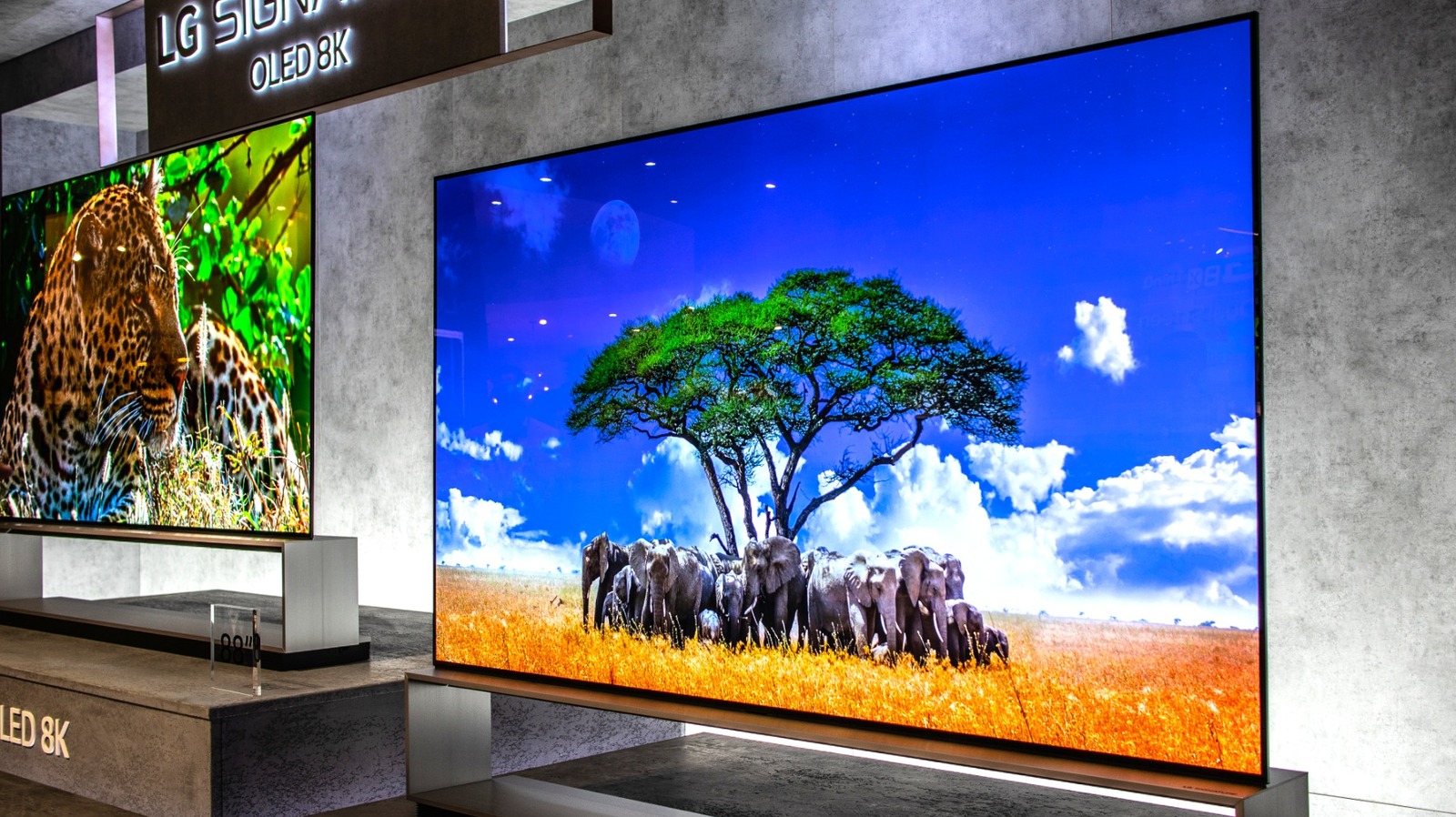Top 5 OLED Displays to Elevate Your Viewing Experience