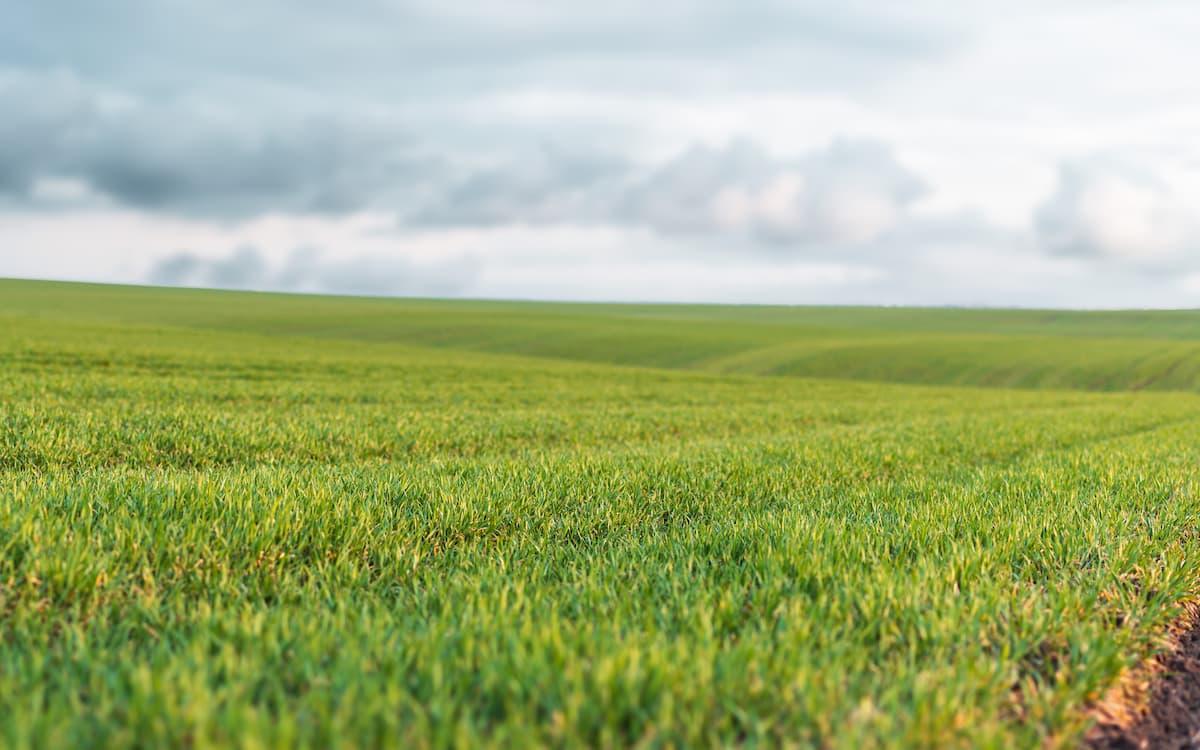 Agricultura regenerativa en España: inversión y tecnología en auge