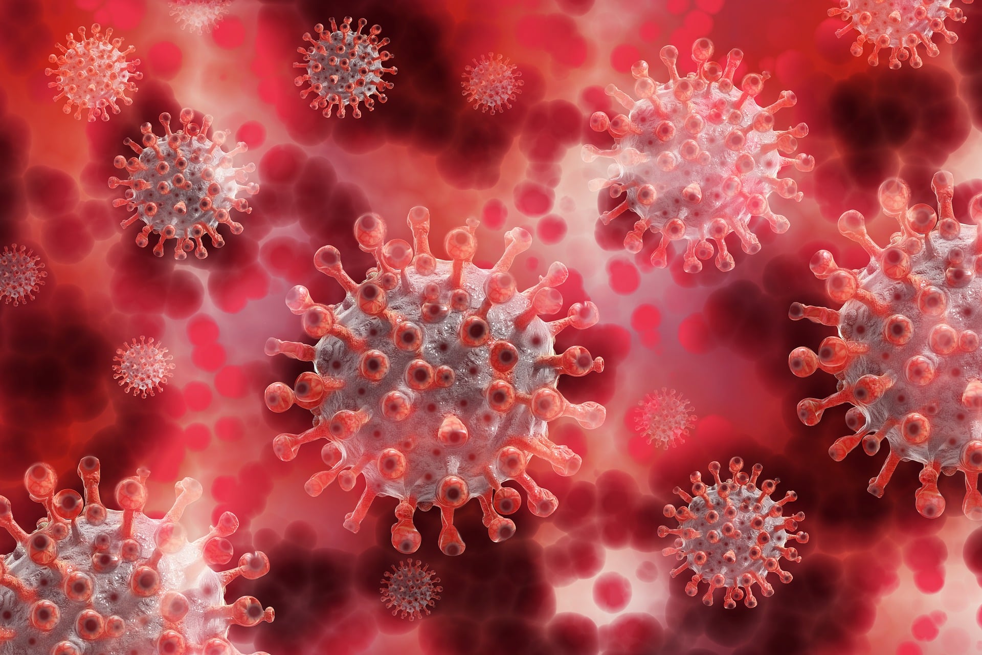 Antiviral Breakthrough: The Lightbulb Moment Revealed