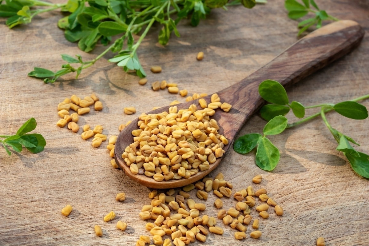 Fenogreco: beneficios y formas de uso (pastillas, té y más)