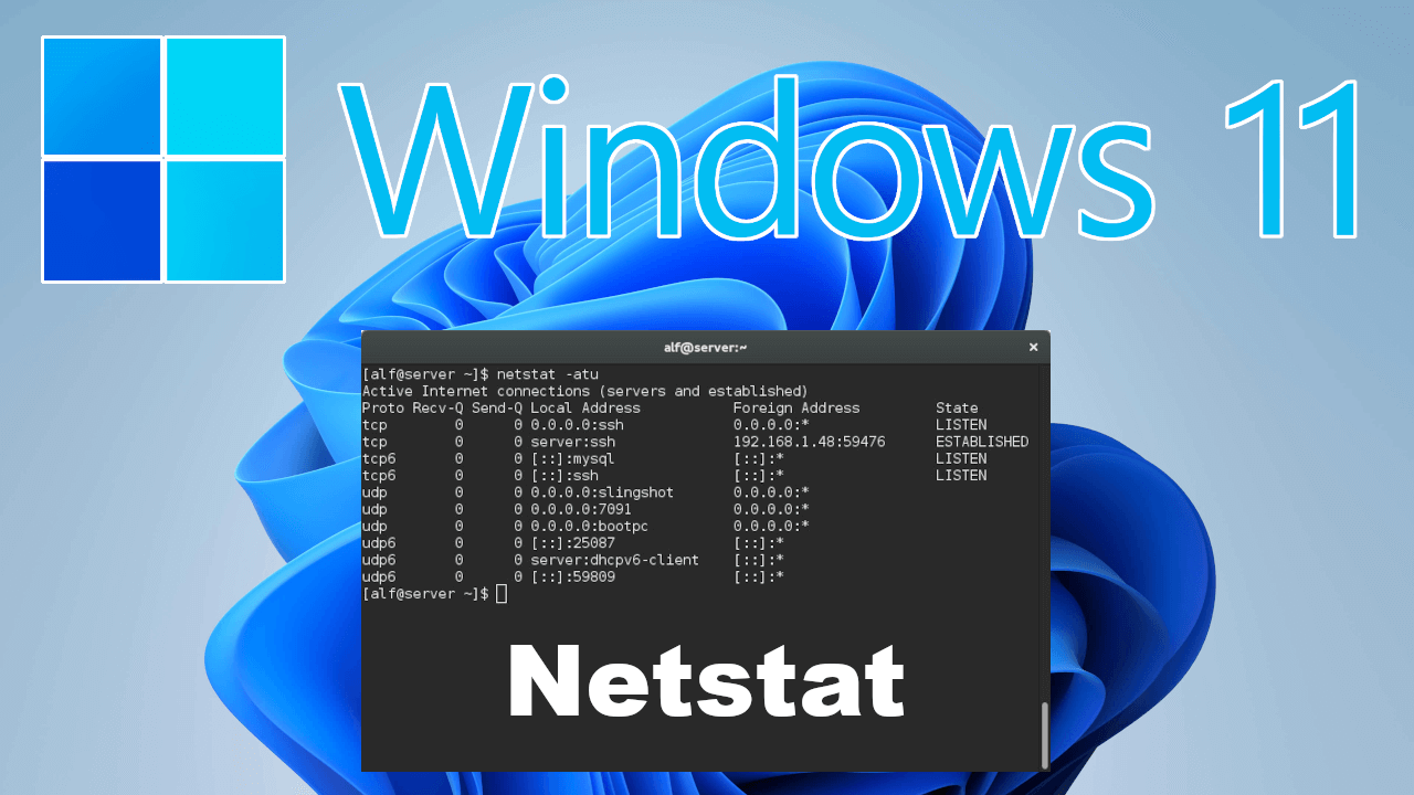 Netstat: Analiza conexiones y puertos en Windows al instante