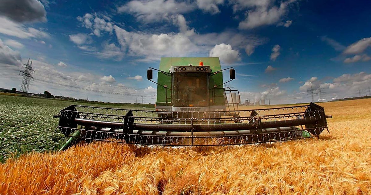 Organizaciones agrarias protestan por el alto costo del gasóleo y fertilizantes