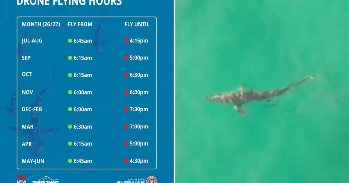 Swimmers Spot Drones Over Newcastle Beaches This Spring: Live Updates