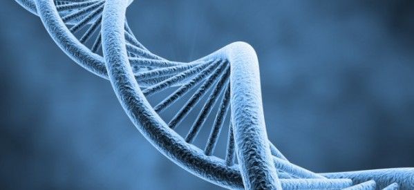Epigenética en Psicología: Descubre su Impacto y Relevancia