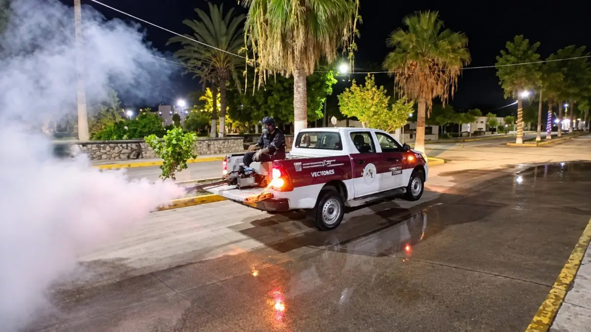 Gobierno de BCS: Fumigación en 13 mil hectáreas de Comondú