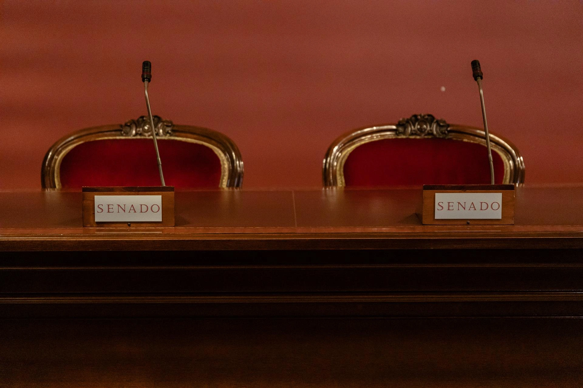Reunión en el Senado: Parlamentarios Abordan la IA en Tecnología